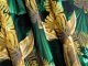 NOWOCZESNA TKANINA NA ZASŁONY W LIŚCIE PALMOWE - ZASŁONY MONSTERA ~ "GOLDI" ZIELEŃ ~ 150