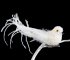 OZDOBA CHOINKOWA SW/OZD/BIRD/47-1 ~ PTAK ~ BIEL ~ kpl. 6szt