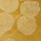 NOWOCZESNY KOC Z PLUSZU ~ GINKO2 ~ MIÓD ~ 150x200