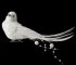 OZDOBA CHOINKOWA SW/OZD/BIRD/46-1 ~ PTAK ~ BIEL ~ kpl. 6szt