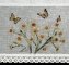 Gotowe zazdrostki w żonkile - wiosenne zazdrostki do okna - Flora - 30x150