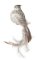 OZDOBA CHOINKOWA SW/OZD/BIRD/29-2 ~ PTAK ~ SREBRO ~ kpl. 6szt