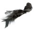 OZDOBA CHOINKOWA SW/OZD/BIRD/34-9 ~ PTAK ~ CZERŃ ~ kpl. 6szt