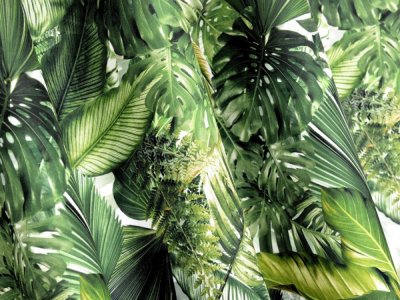 Zasłony w liście monstera na metry lub szyte na wymiar - URBAN JUNGLE - 150
