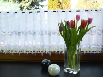 Zazdrostki do kuchni na metry - Nowoczesne kuchenne zazdrostki z gipiurą - "Demi" - 40