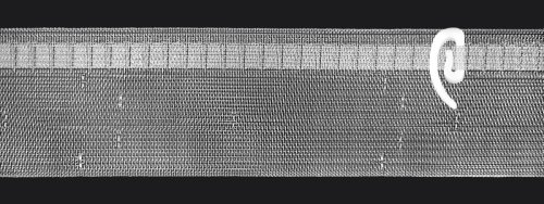 TAŚMA WAVE ~ TAŚMA ŻYŁKOWA SYSTEM WAVE ~ TAŚMA FALA ~ wys. 7,70cm